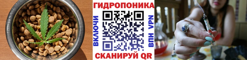 Cannafood конопля  Волоколамск 
