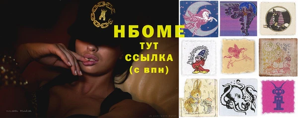 индика Абаза