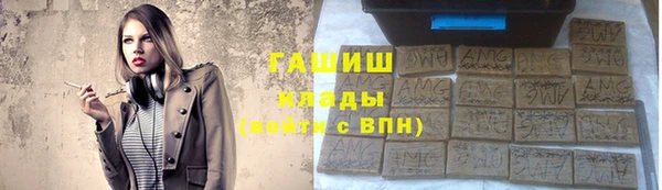 индика Абаза