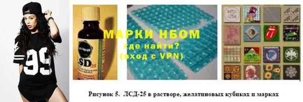 индика Абаза