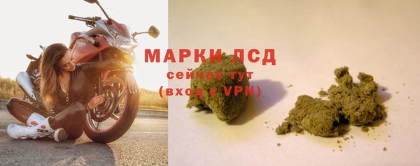индика Абаза