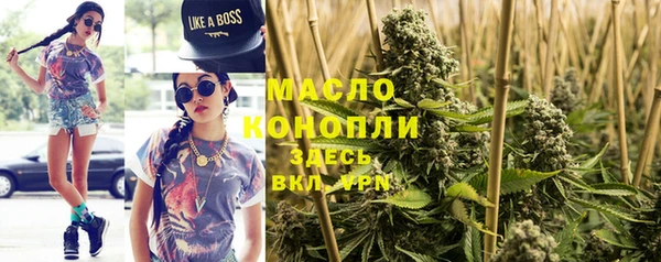 индика Абаза