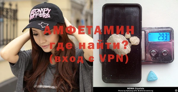 индика Абаза