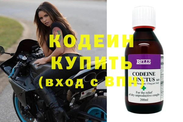 индика Абаза