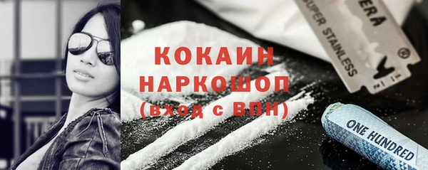 индика Абаза