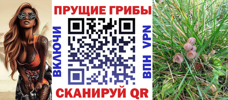 omg маркетплейс  Волоколамск  Галлюциногенные грибы MAGIC MUSHROOMS  магазин продажи  